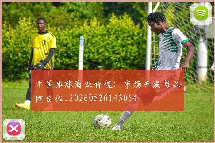 中国排球商业价值:市场开发与品牌合作_20260526143054